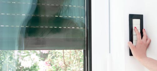 Motorization